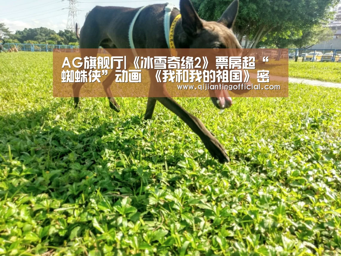 AG旗舰厅|《冰雪奇缘2》票房超“蜘蛛侠”动画 《我和我的祖国》密钥二次延期(图3) AG热门