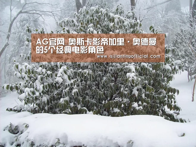 AG官网_奥斯卡影帝加里·奥德曼的5个经典电影角色(图1) AG官网