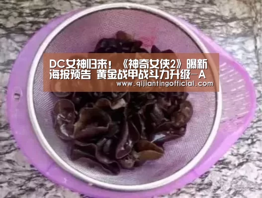 DC女神归来!《神奇女侠2》曝新海报预告 黄金战甲战斗力升级-AG官网(图1) AG热门